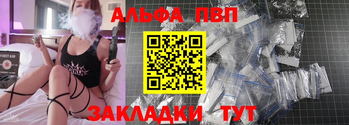 Альфа ПВП СК Кондопога