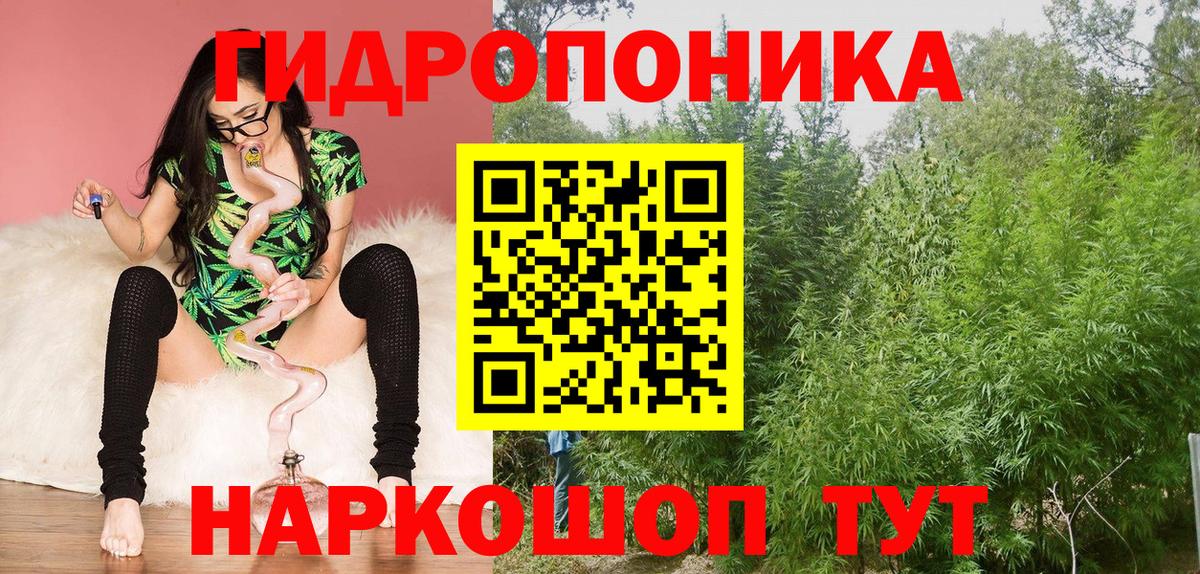 Конопля сатива  Вход с VPN  Канабис OG Kush  Кондопога 
